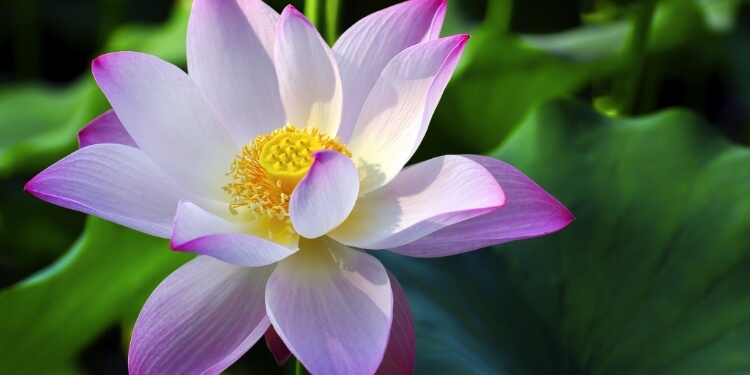 上一节气