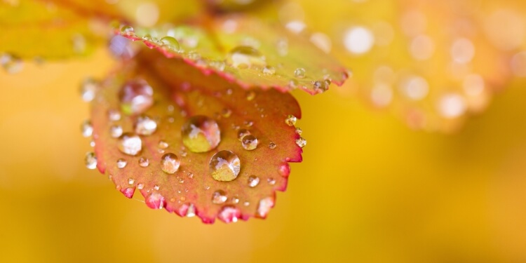 当前节气