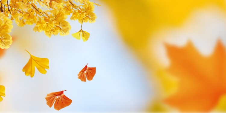 下一节气