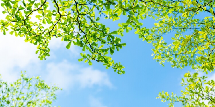 上一节气