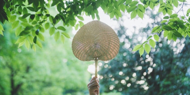 上一节气