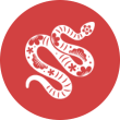冲煞